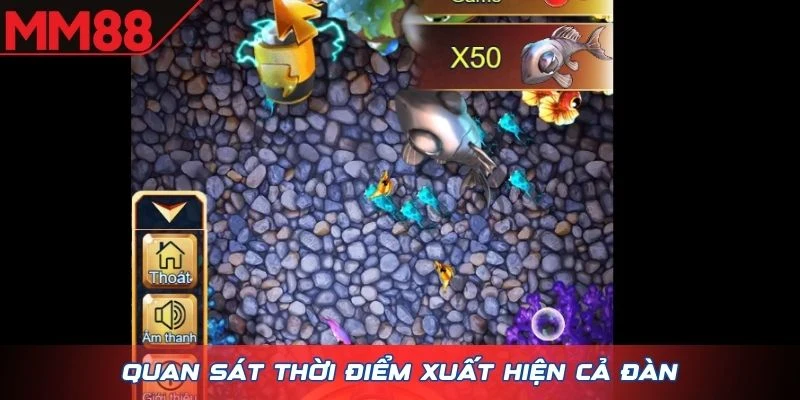 Quan sát thời điểm xuất hiện cả đàn