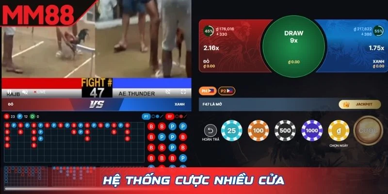 Hệ thống cược nhiều cửa