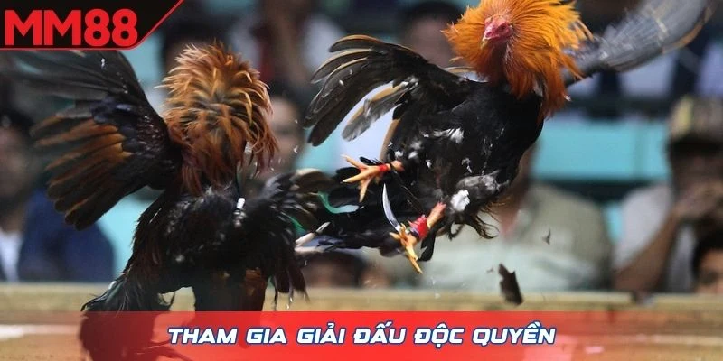 Tham gia giải đấu độc quyền