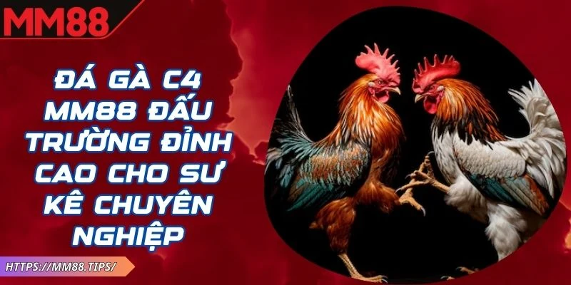 Đá Gà C4 MM88