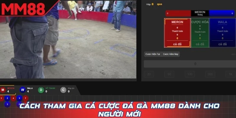 Cách tham gia cá cược Đá Gà MM88 dành cho người mới