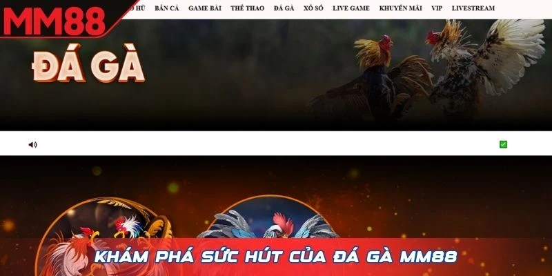 Khám phá sức hút của Đá Gà MM88