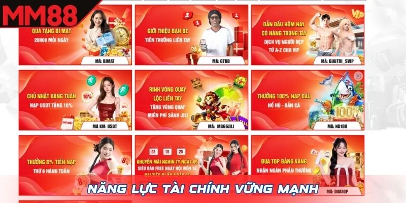 Năng lực tài chính vững mạnh